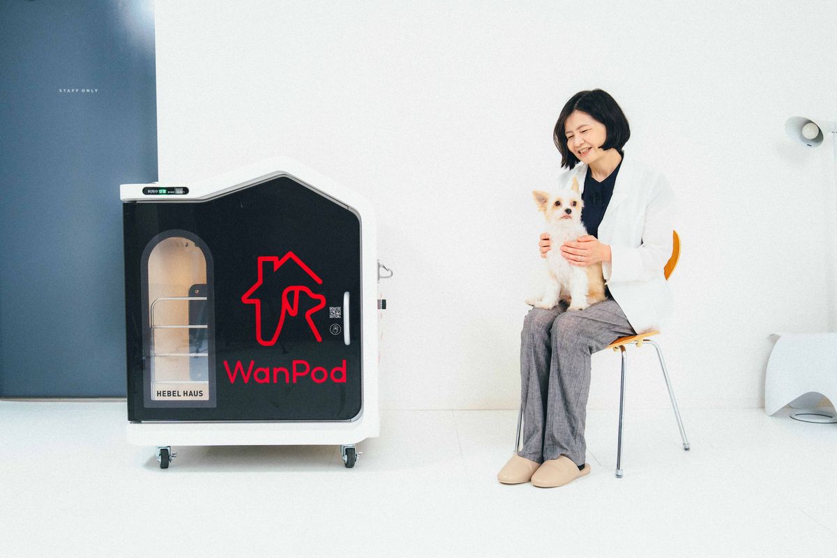 WanPodと入交先生